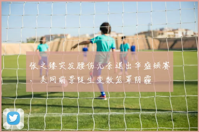 张之臻突发腰伤无奈退出华盛顿赛，美网前景陡生变数笼罩阴霾