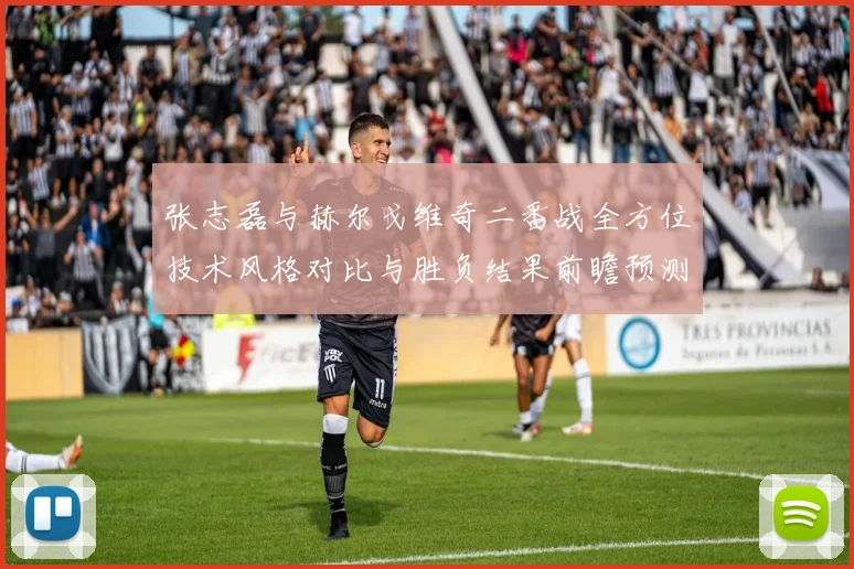 张志磊与赫尔戈维奇二番战全方位技术风格对比与胜负结果前瞻预测