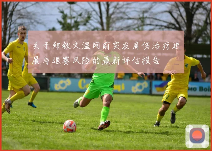关于郑钦文温网前突发肩伤治疗进展与退赛风险的最新评估报告