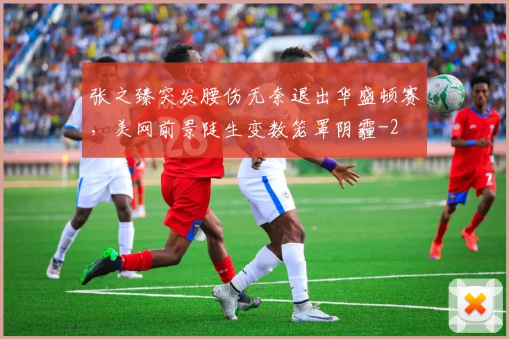 张之臻突发腰伤无奈退出华盛顿赛,美网前景陡生变数笼罩阴霾