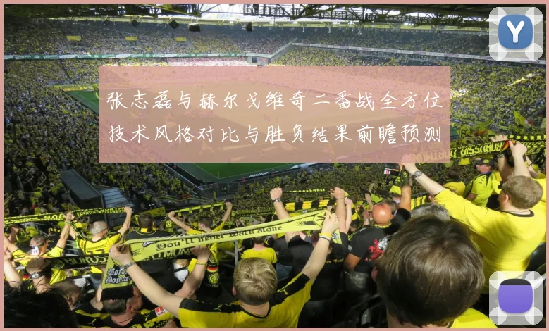 张志磊与赫尔戈维奇二番战全方位技术风格对比与胜负结果前瞻预测