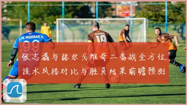 张志磊与赫尔戈维奇二番战全方位技术风格对比与胜负结果前瞻预测